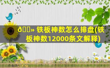 🌻 铁板神数怎么排盘(铁板神数12000条文解释)